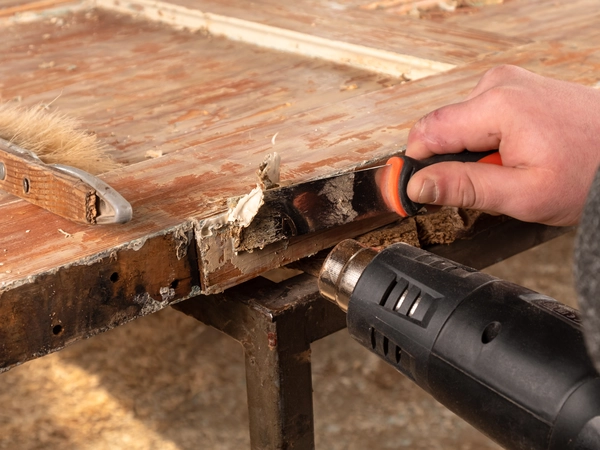 Best Tampa Drywood and Wood Rot Company